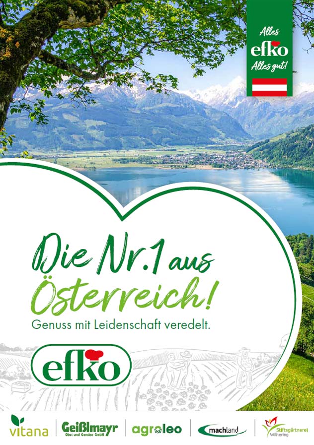 efko - die Nummer 1 aus Österreich - Exportfolder